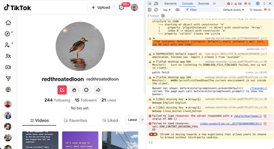 A TikTok page on a computer with a column of code on the right.