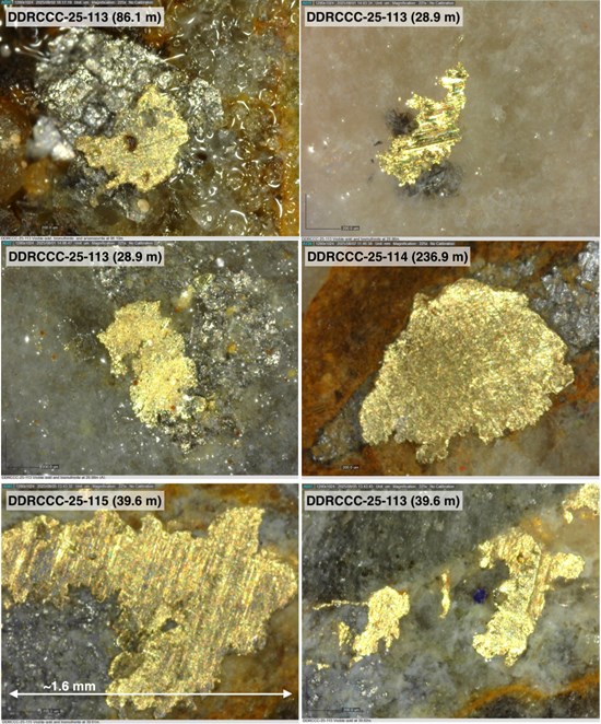 Cannot view this image? Visit: https://decisionisyours.com/wp-content/uploads/2025/11/274133_fc8a8fb4f4ed5acf_006.jpg