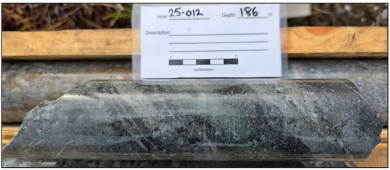 Cannot view this image? Visit: https://decisionisyours.com/wp-content/uploads/2025/12/278191_forgeimg2_550.jpg